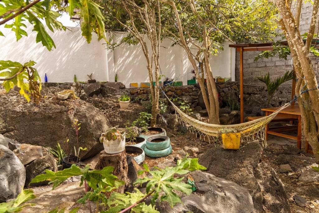 Ideal Y Linda Casita En San Cristobal-Galapagos Eksteriør billede